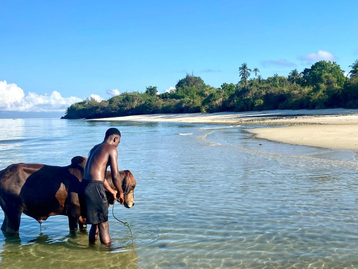 Kingstone Lodge Zanzibar Bet-el-Mali Екстер'єр фото